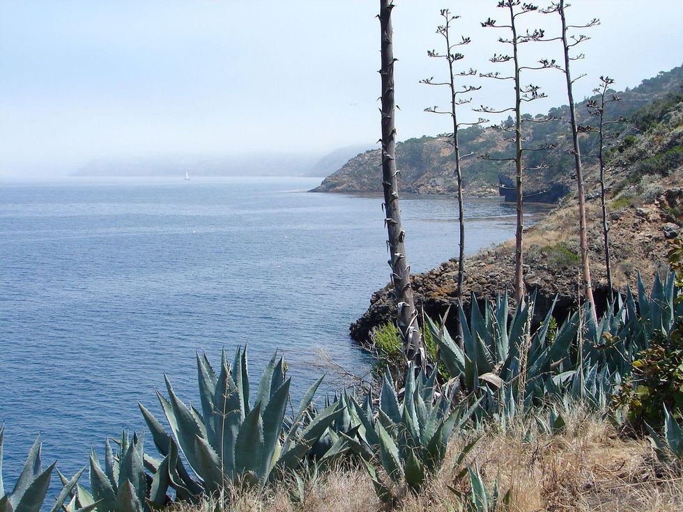 Stephan Lorenz Channel Islands January 2014 Santa Cruz Island coastline