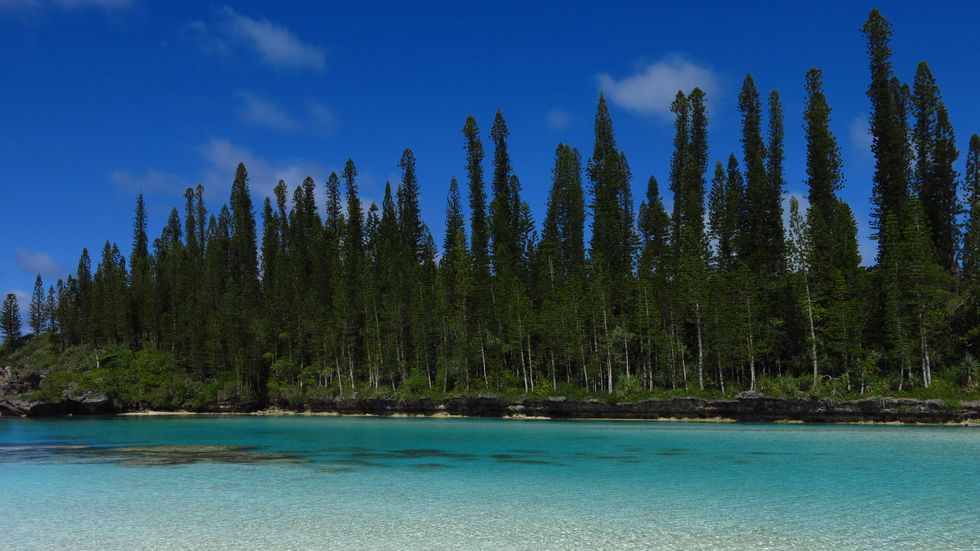 Stephan Lorenz Noumea, New Caledonia November 2014 Piscine Naturelle on Isle of Pines is a snorkeling paradise.