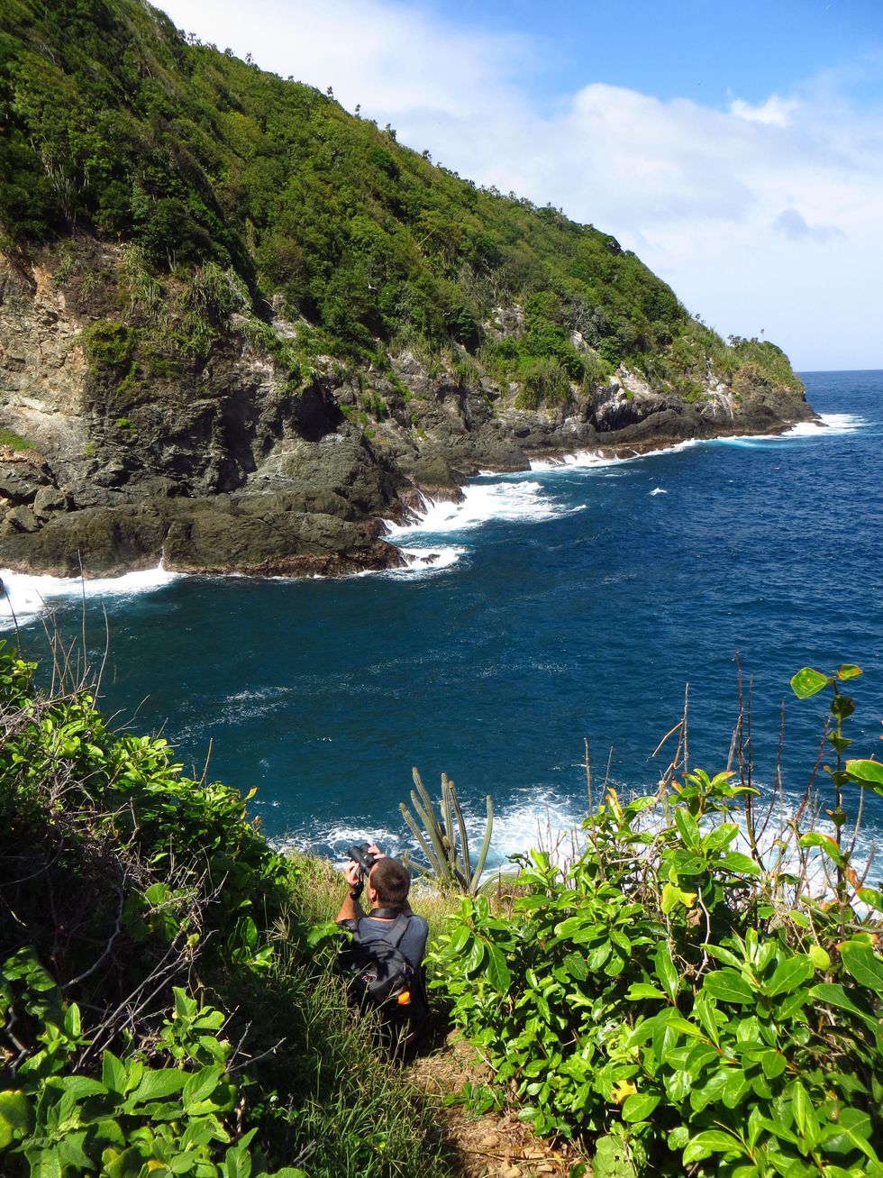 Stephan Lorenz Tobago travel February 2015 Visiting the wild side on Little Tobago