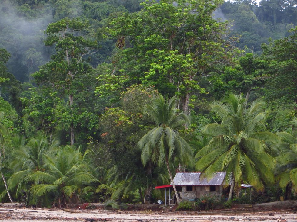 Stephan Lorenz Trinidad travel February 2015 Grand Riviere is a remote beach that harbors one of the largest nesting areas of leatherback turtles