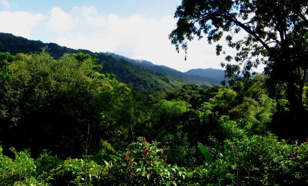Stephan Lorenz Trinidad travel February 2015 The Arima Valley as seen from the Asa Wirght Nature Center