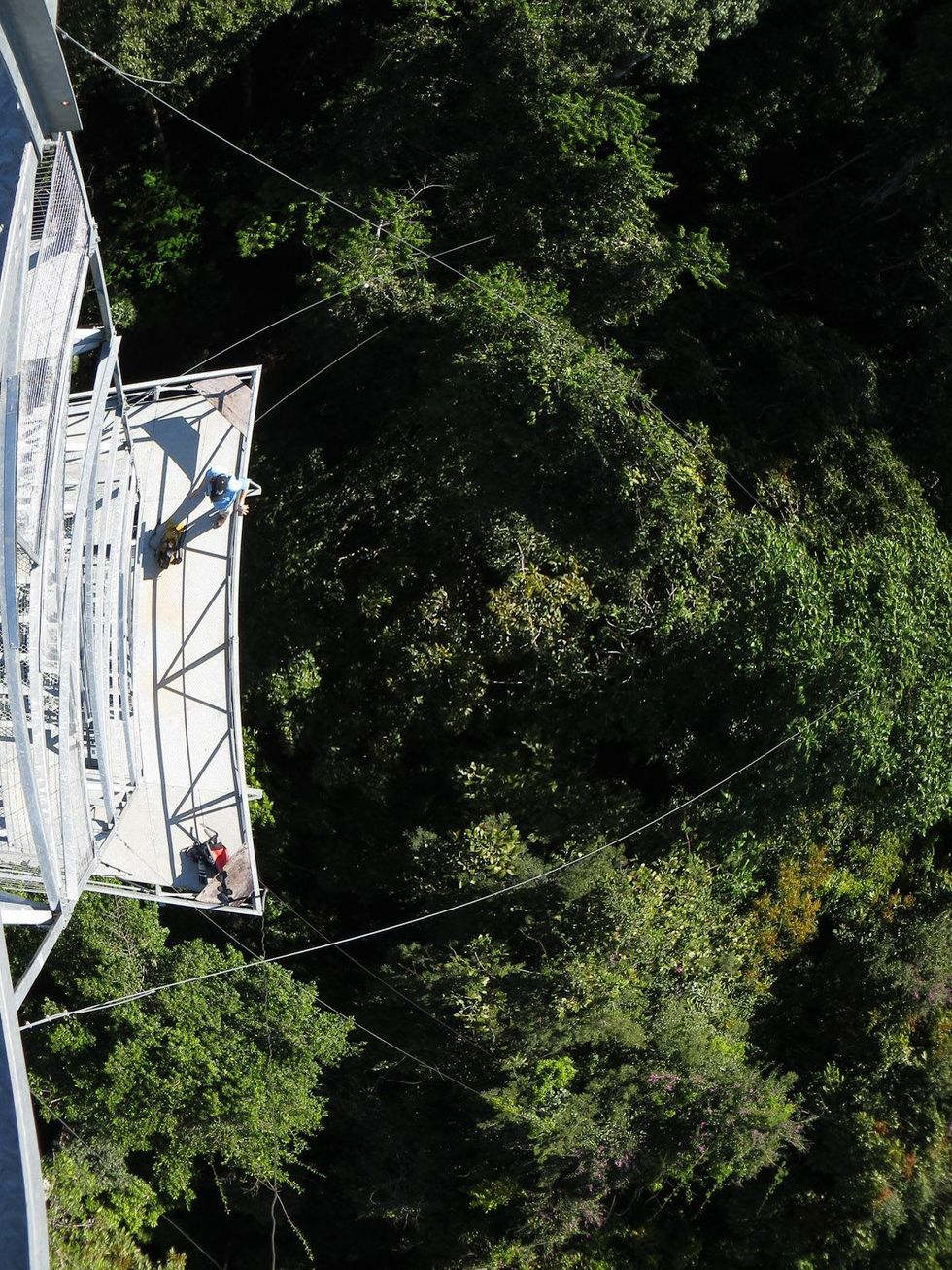 Inside the Amazon rainforest: Where the wonders — and the fight for