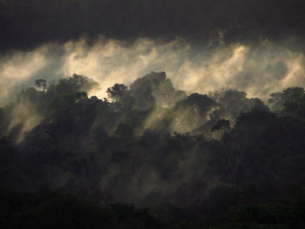 Stephen Lorenz Southern Amazon Brazil September 2013 Mist rises above the pristine rainforest at Cristalino Jungle Lodge