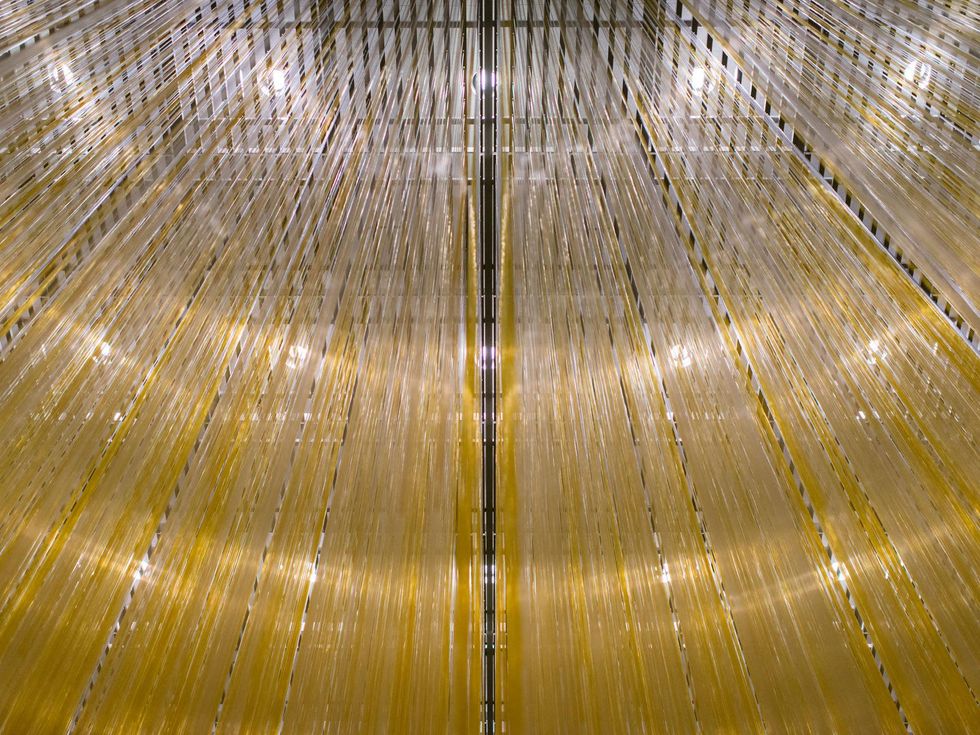 Strings at the Art Crowd Soto at the MFAH June 2014