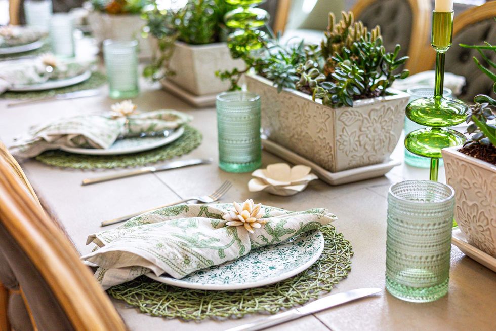 Succulent Fine Dining succulent