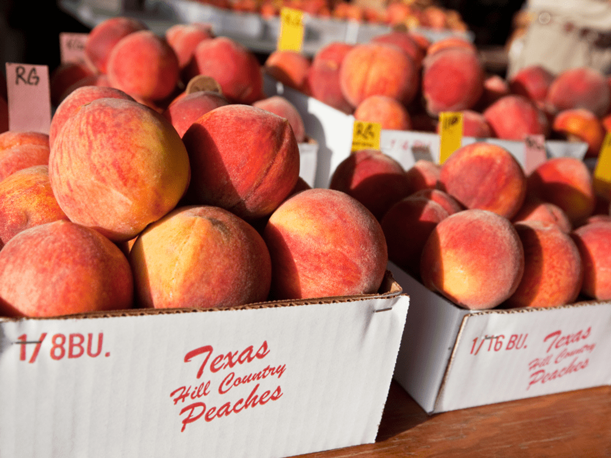 Summer is peach season in Fredericksburg.