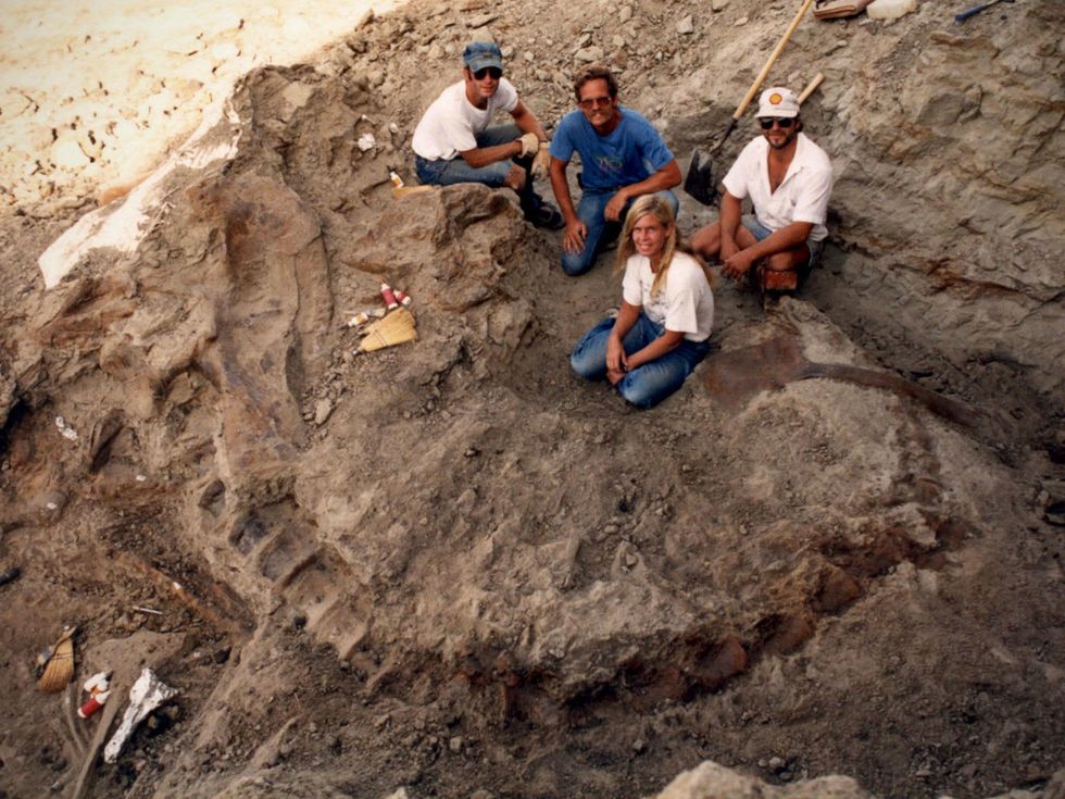 Sundance Film Festival, Dinosaur 13