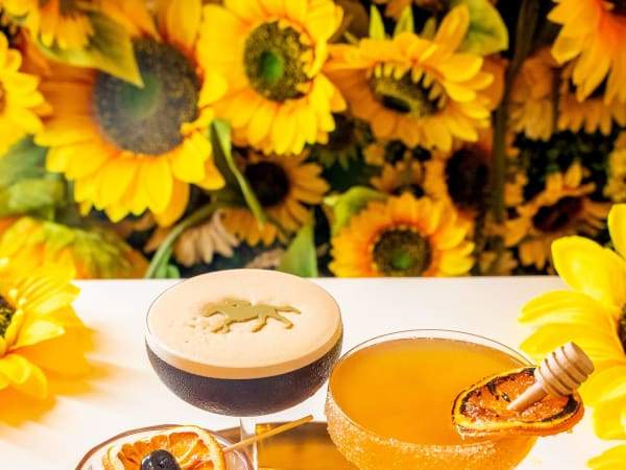 Sunrise House Beyonce