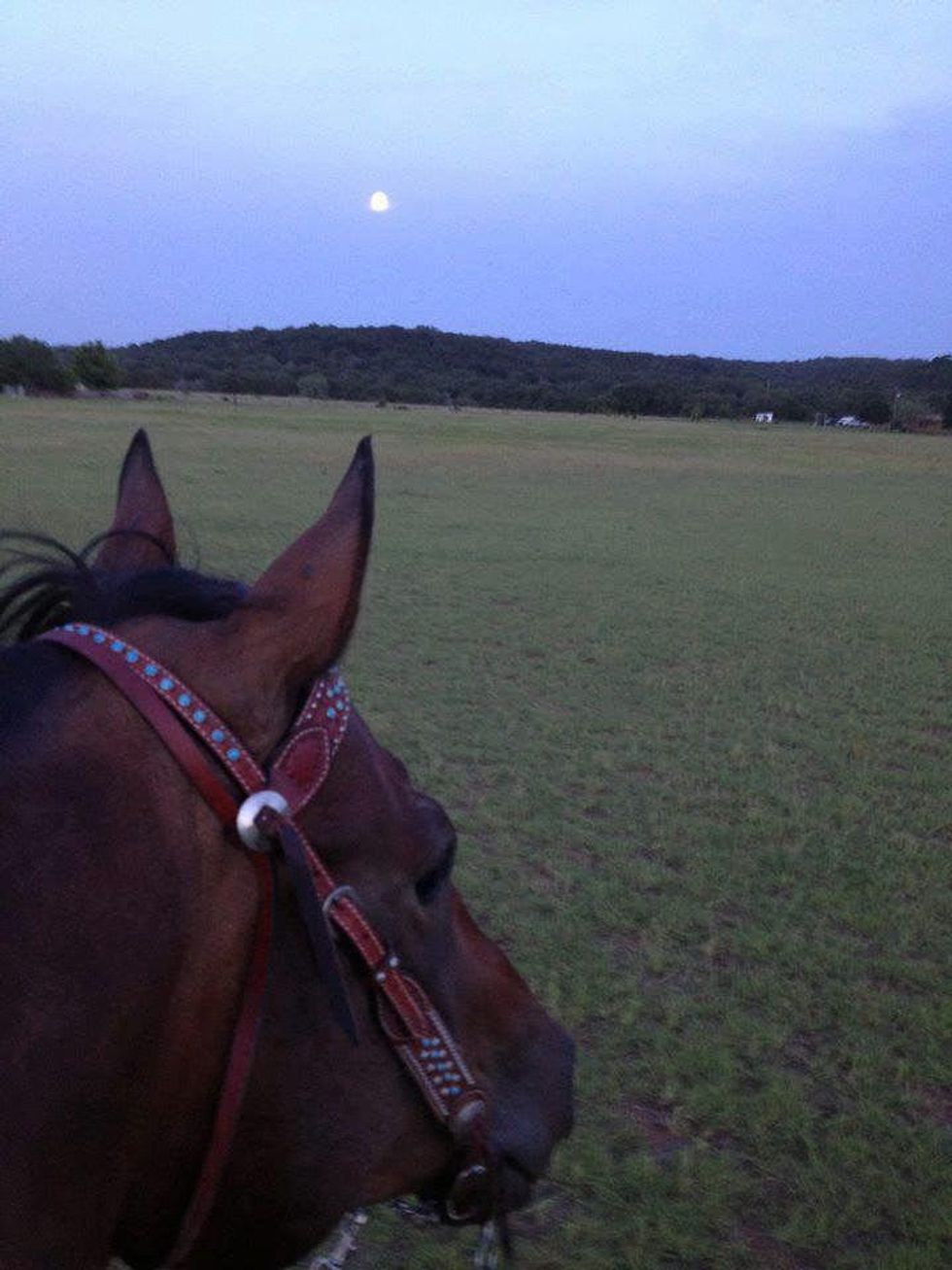Super moon Texas Hill Country with horse June 2013