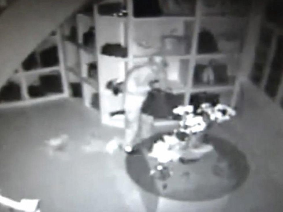 Suspect on surveillance camera Theresa Roemer closet August 2014