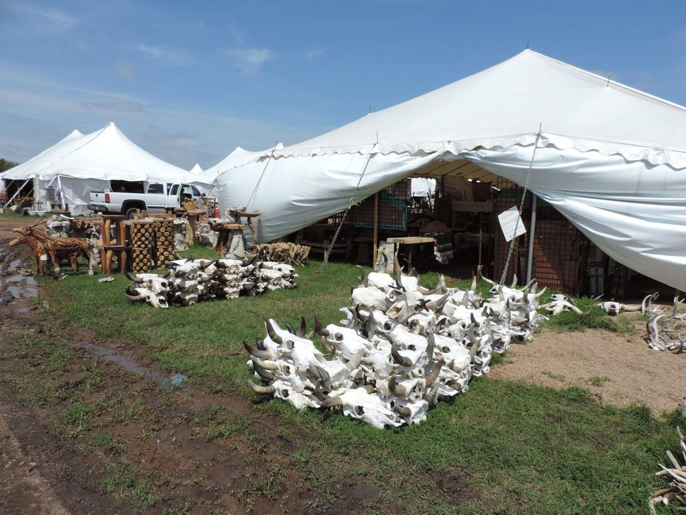 Tarra Gaines Antique Week beginner's guide March 2015 skulls