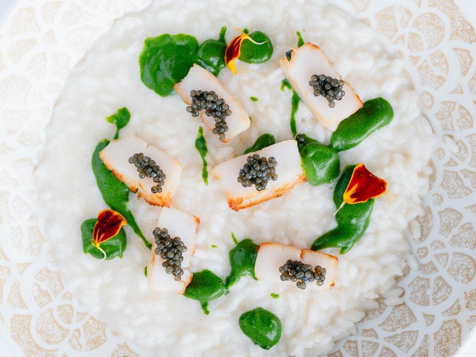 Tavola lobster ristto