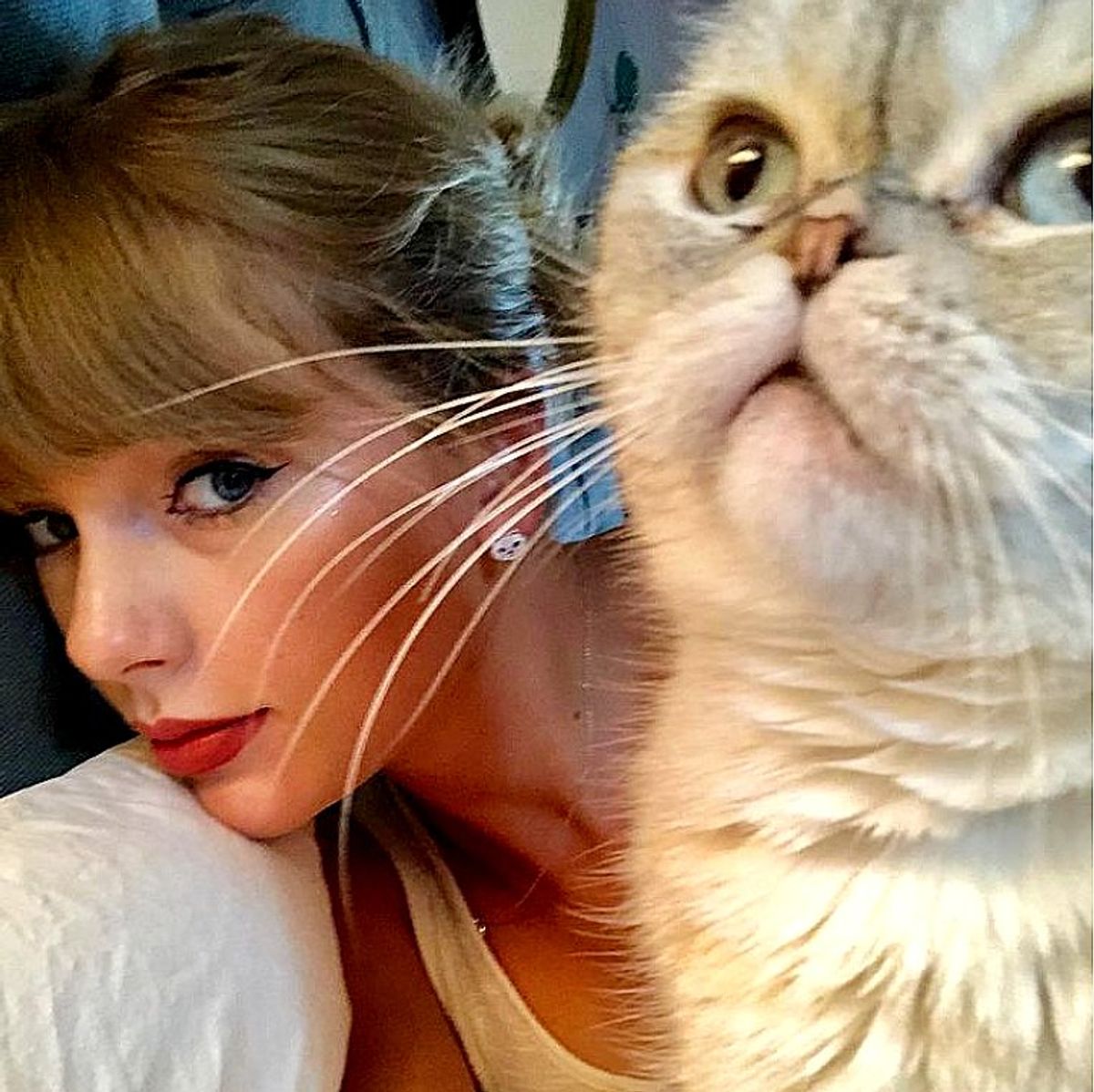 Does Taylor Swift'S Cat Travel With Her: Surprising Truth Revealed