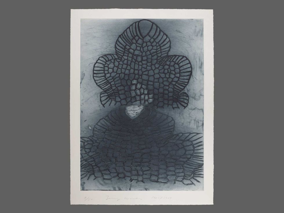 The Menil Collection presents Terry Winters: 