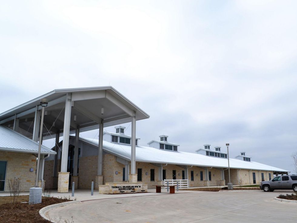 Billionaire UT board member with Aggie ties gives millions to new