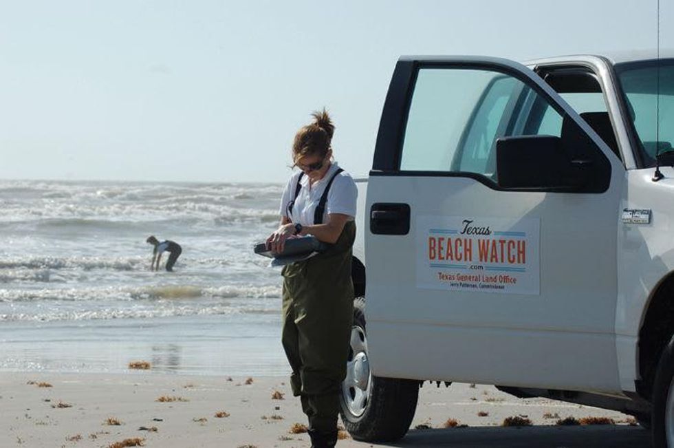 Safe to swim? Bacteria levels drop in Galveston waters, officials say