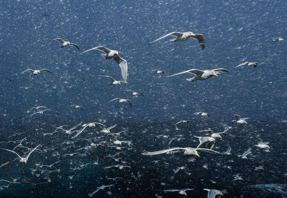 Texas Contemporary 2015 Corey Arnold