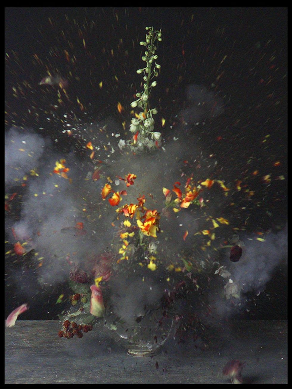 Texas Contemporary Art Fair, show artwork, October 2012, Ori Gersht - Time after Time, Untitled 23, BLACK SPACE