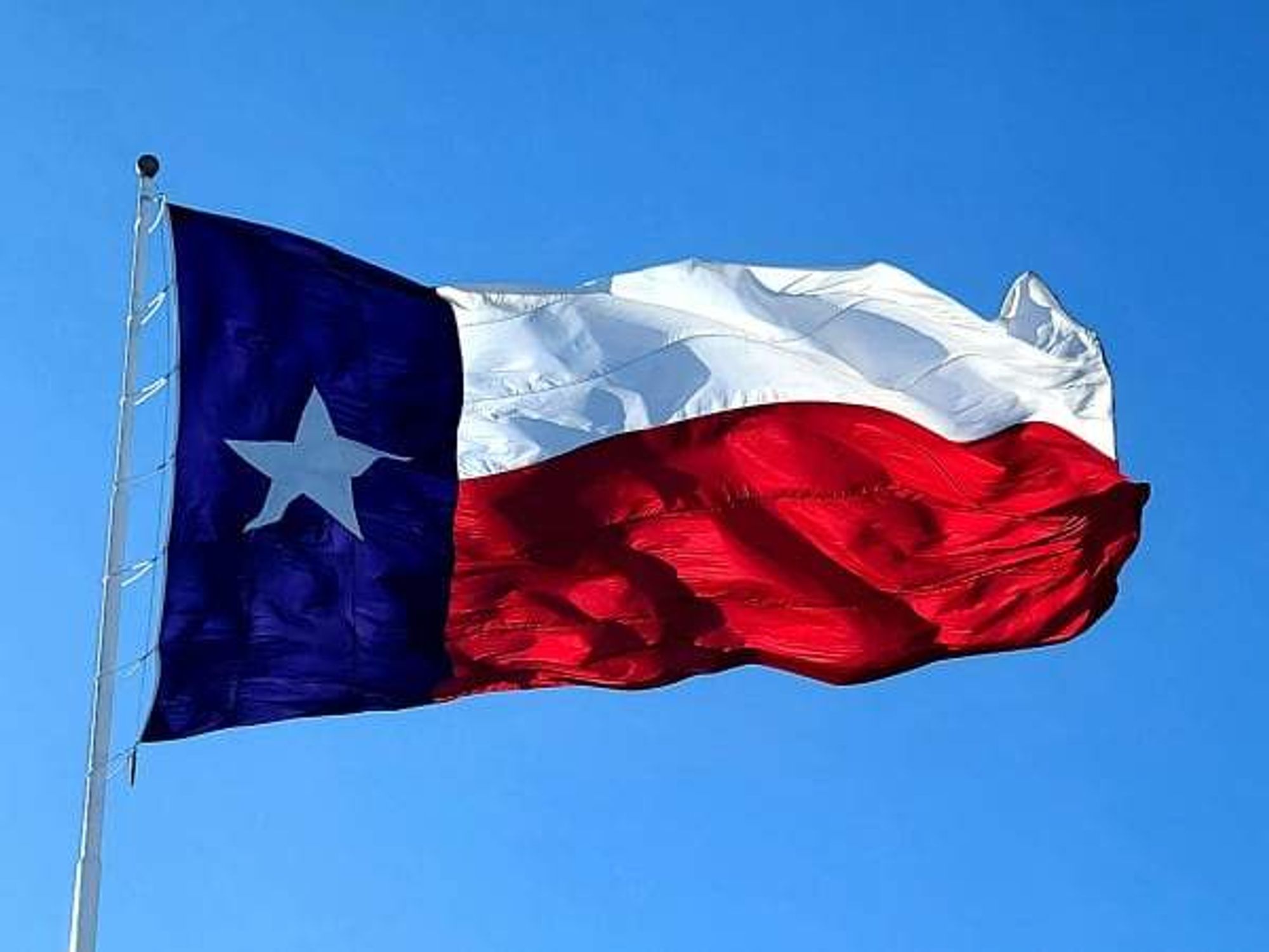 Texas flag