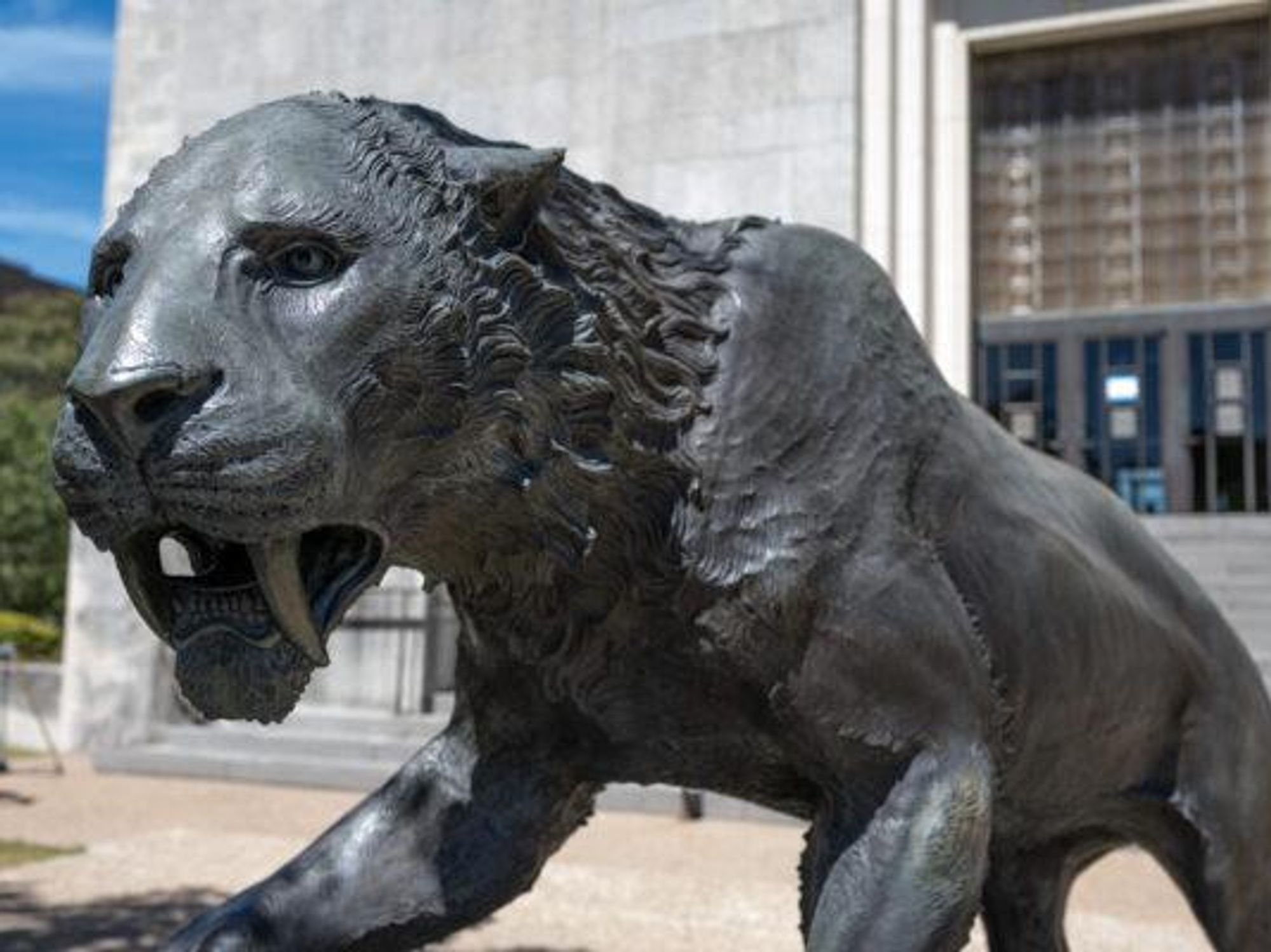 Texas Memorial Museum