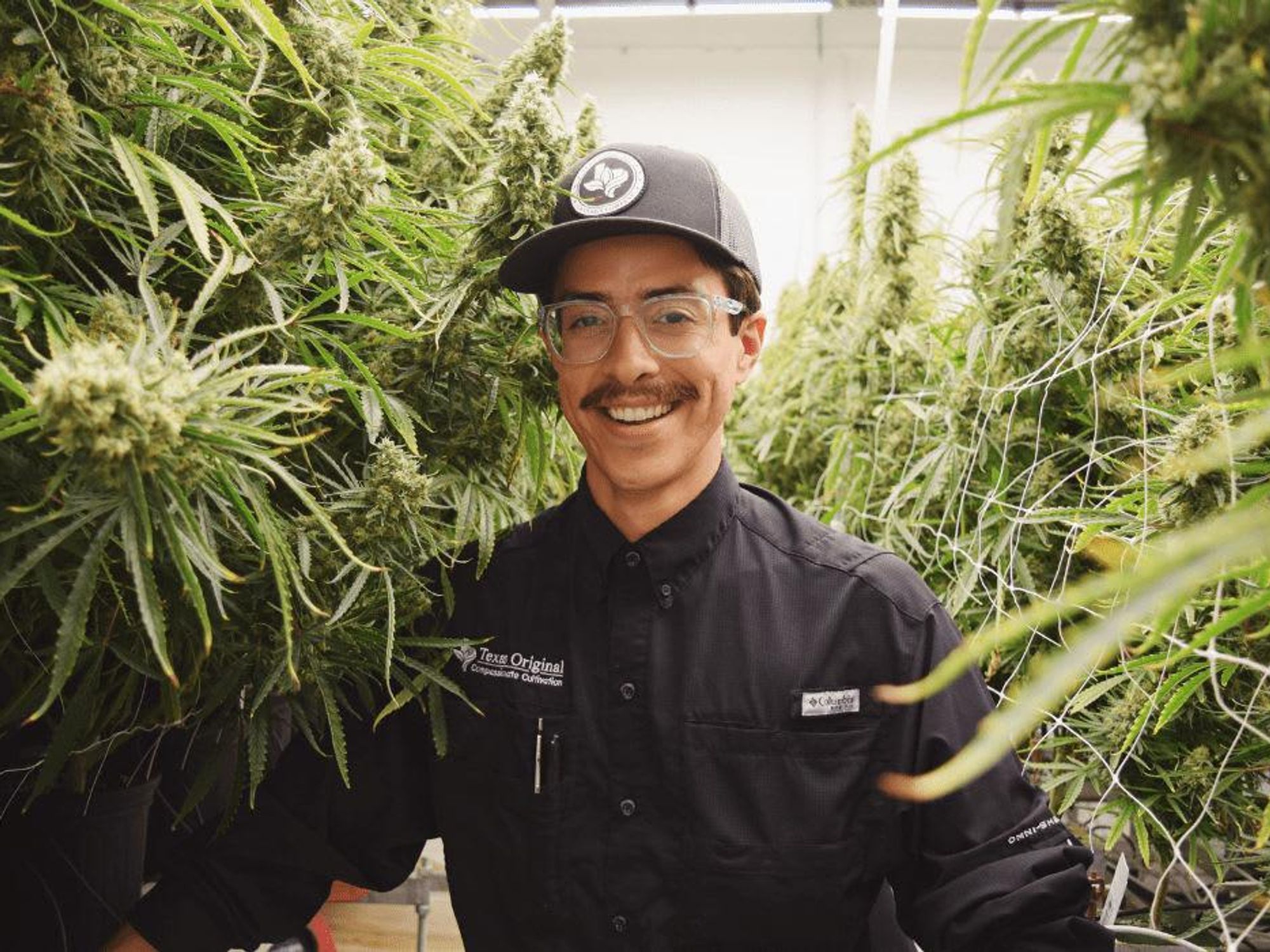 Texas Original medical cannabis