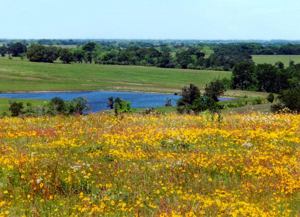 Texas Ranch Life lakehouse view