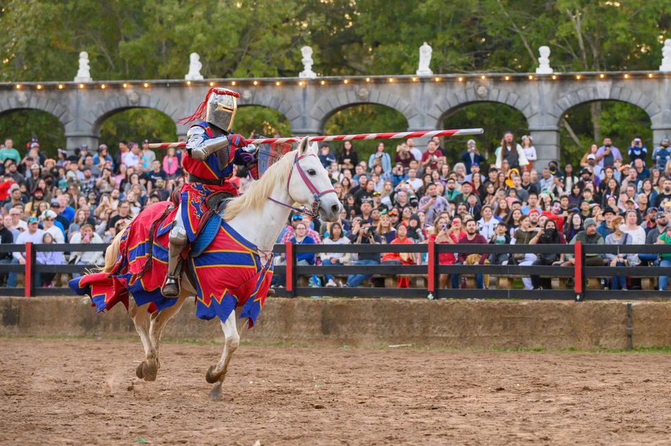 Texas Renaissance Festival