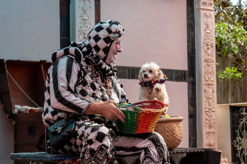 Texas Renaissance Festival