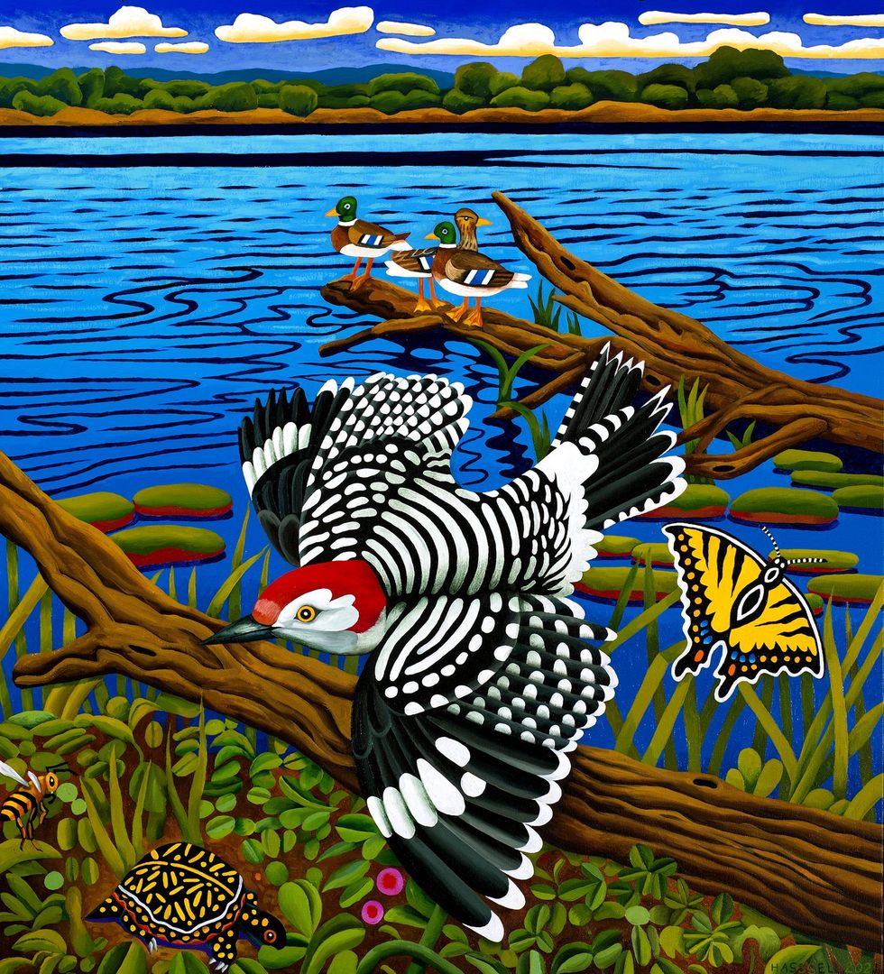 Texas State Parks Centennial