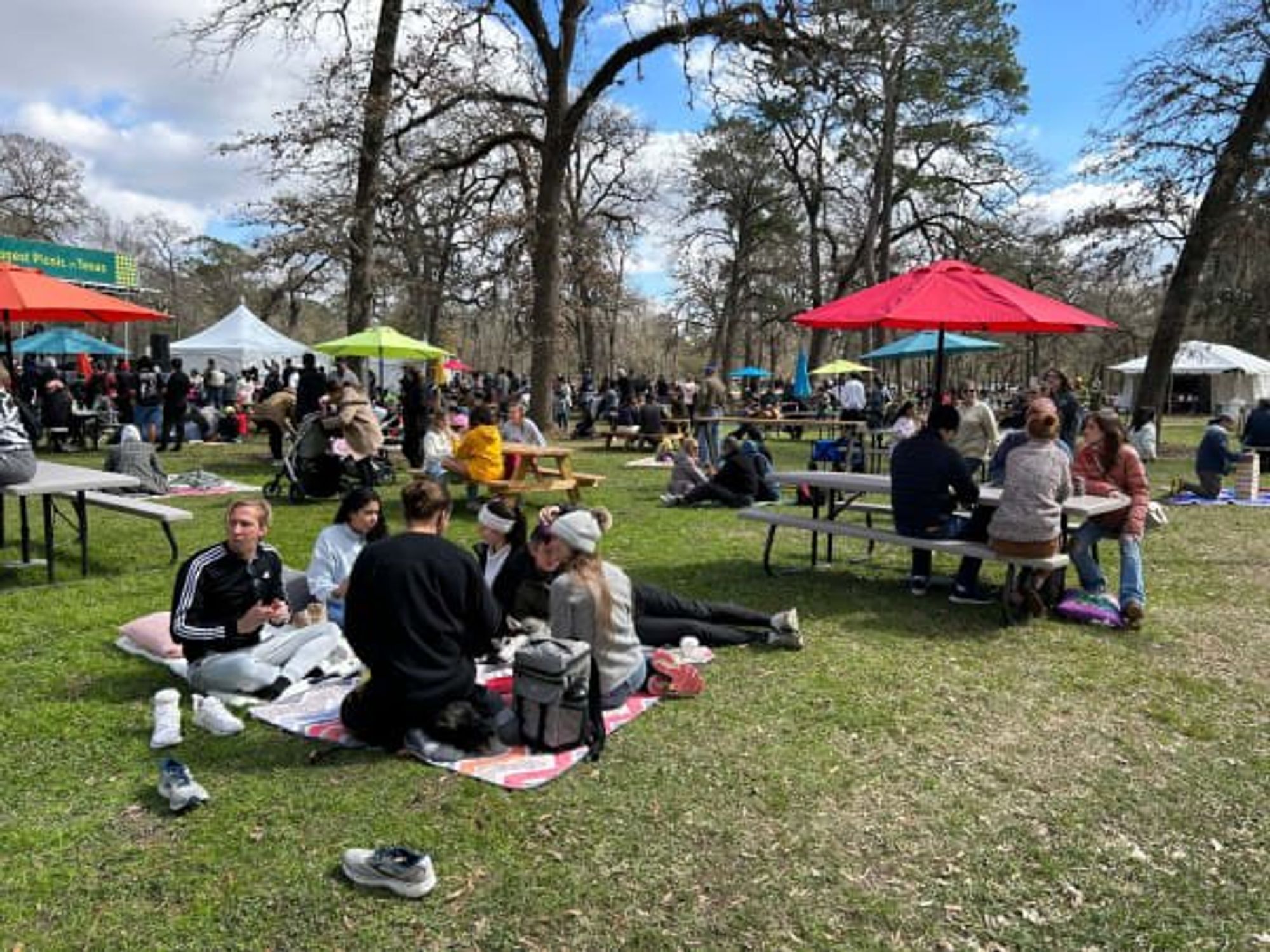 The Biggest Picnic in Texas