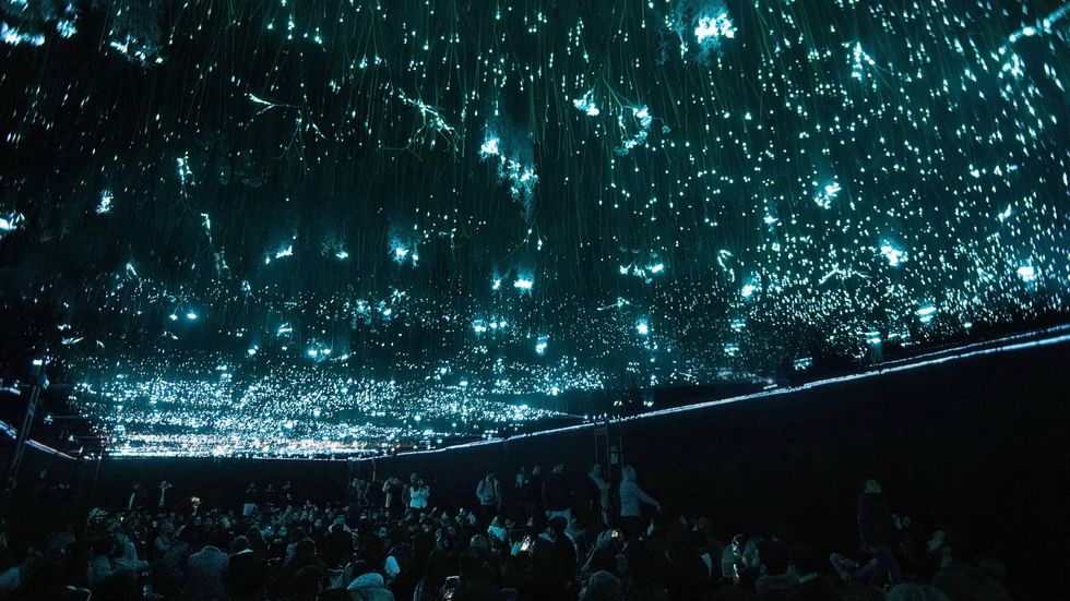 The Day We Left Field by Tundra