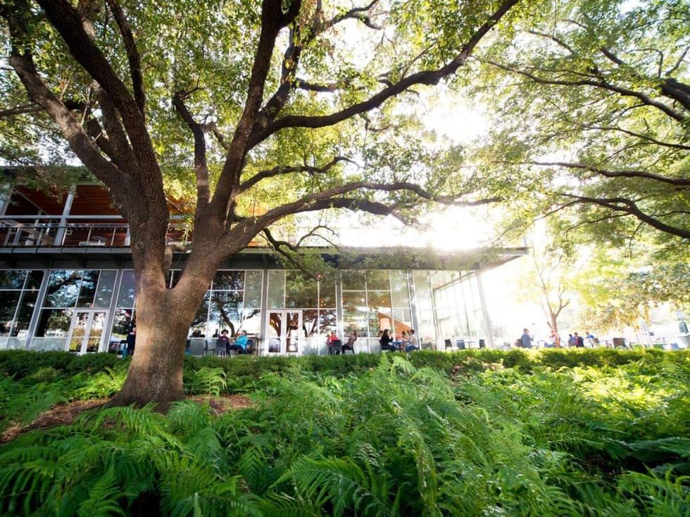 The Grove Houston patio November 2014