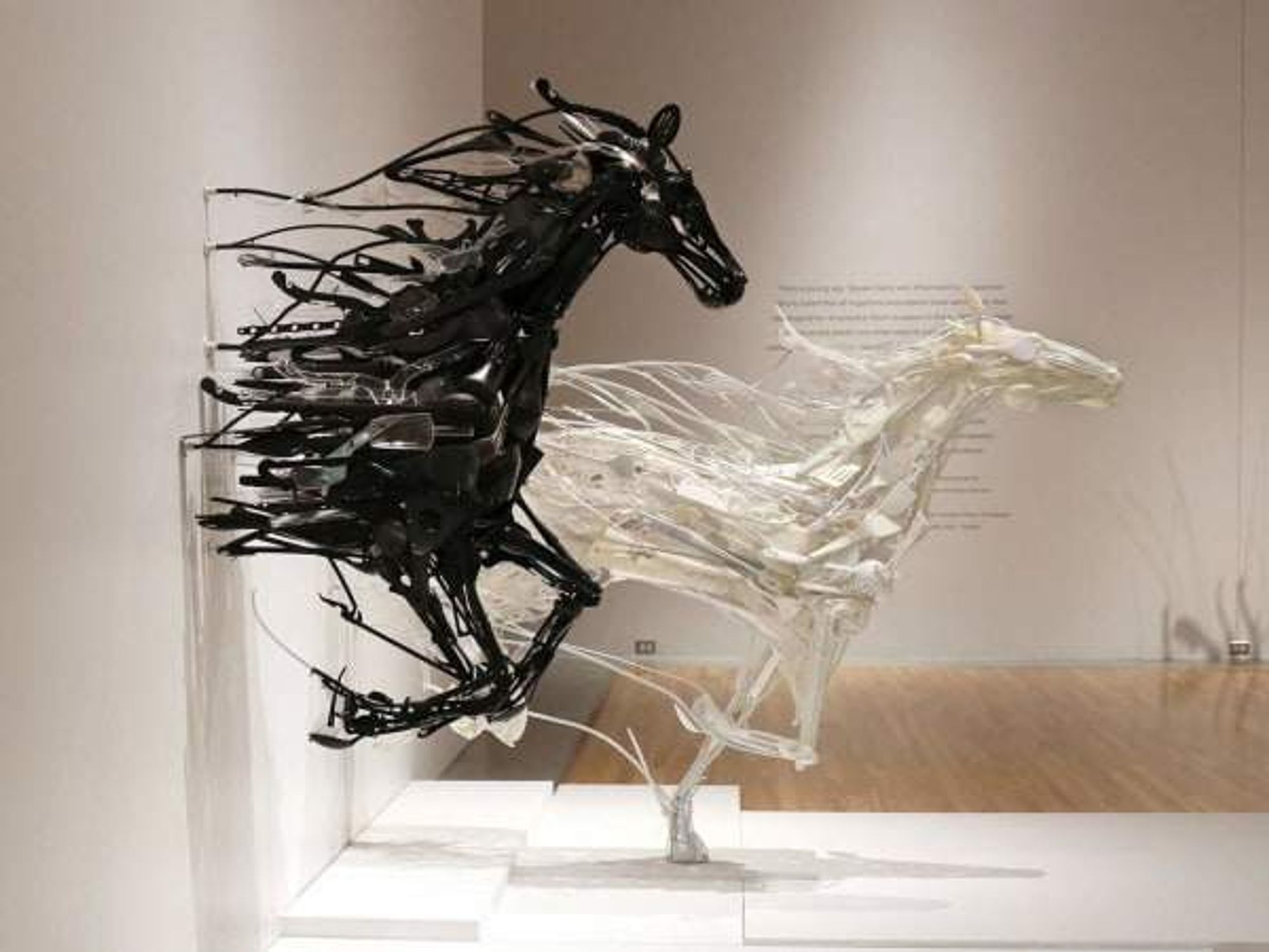 The Health Museum presents “Reclaimed Creations”