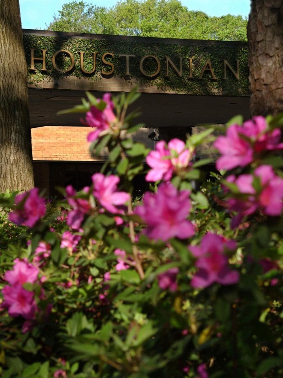 The Houstonian Hotel, Club and Spa, entrance, flowers