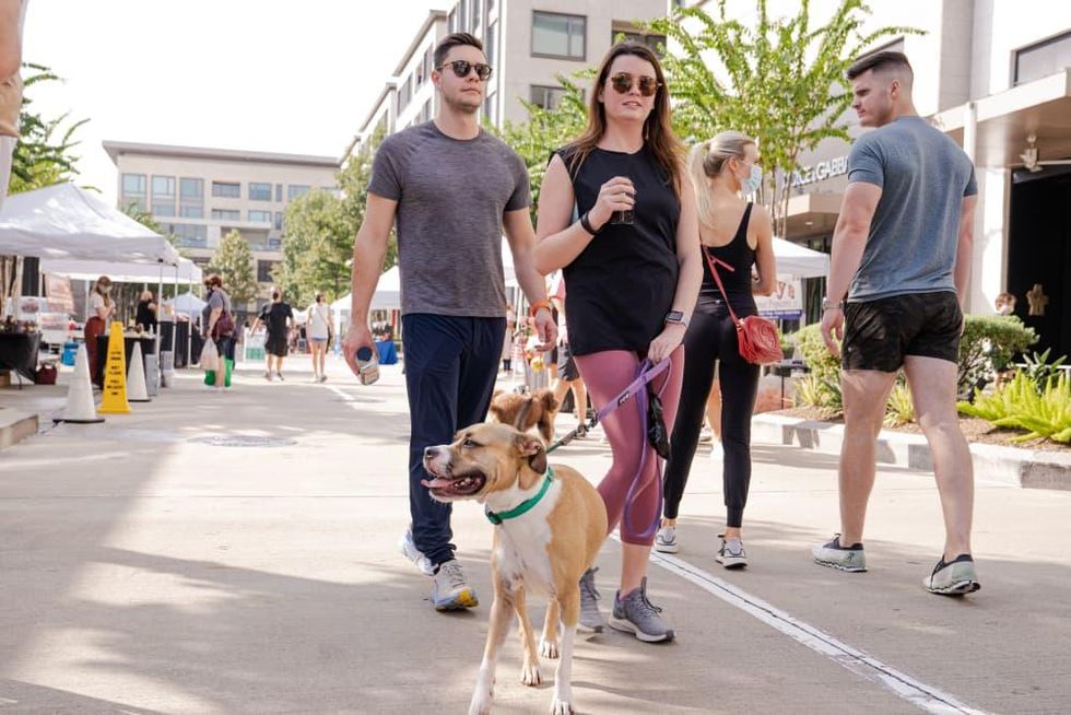 The Market at The District Houston farmers market