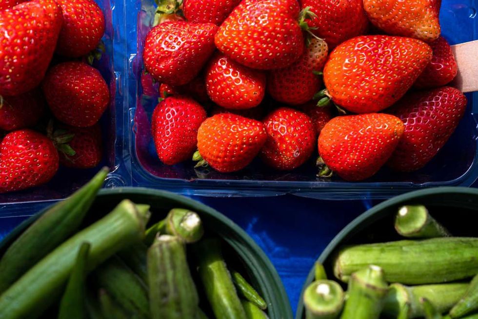 The Market at The District Houston farmers market