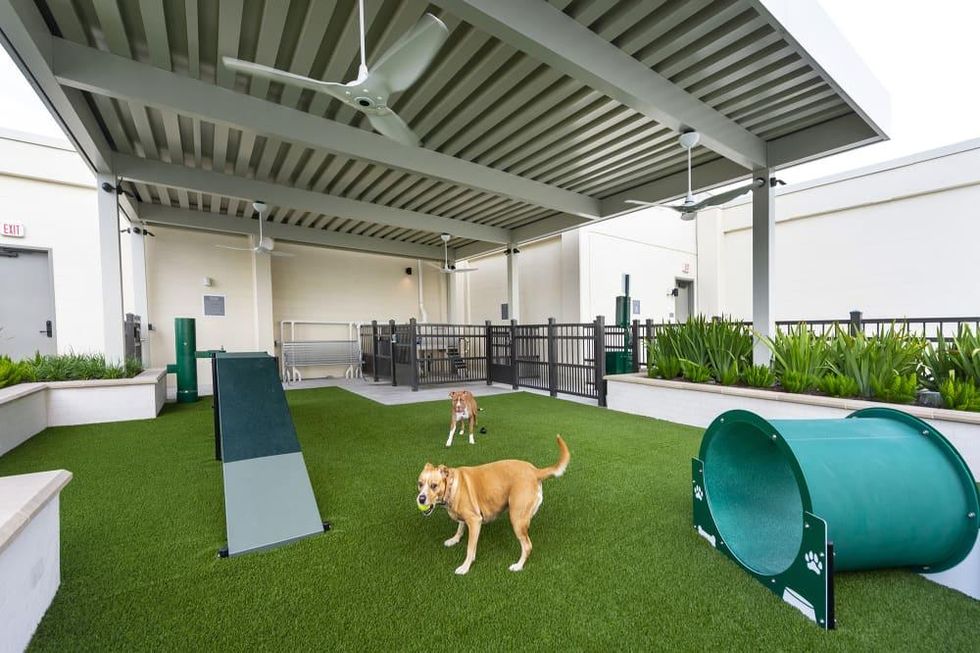 The McAdams Memorial City pet park