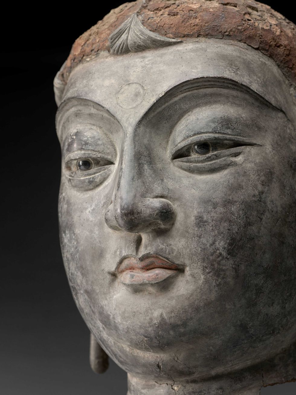 The Museum of Fine Arts, Houston presents \u201cBuddha/Nature: Five Dialogues on a Shared World\u201d