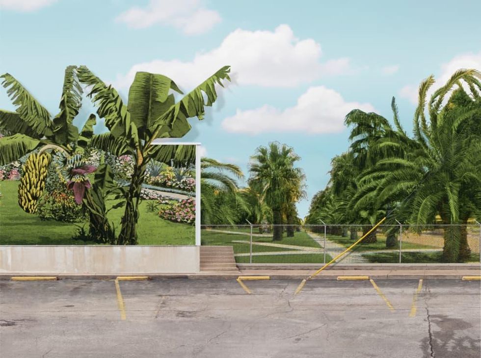 The Palm Tree by Leigh Merrill