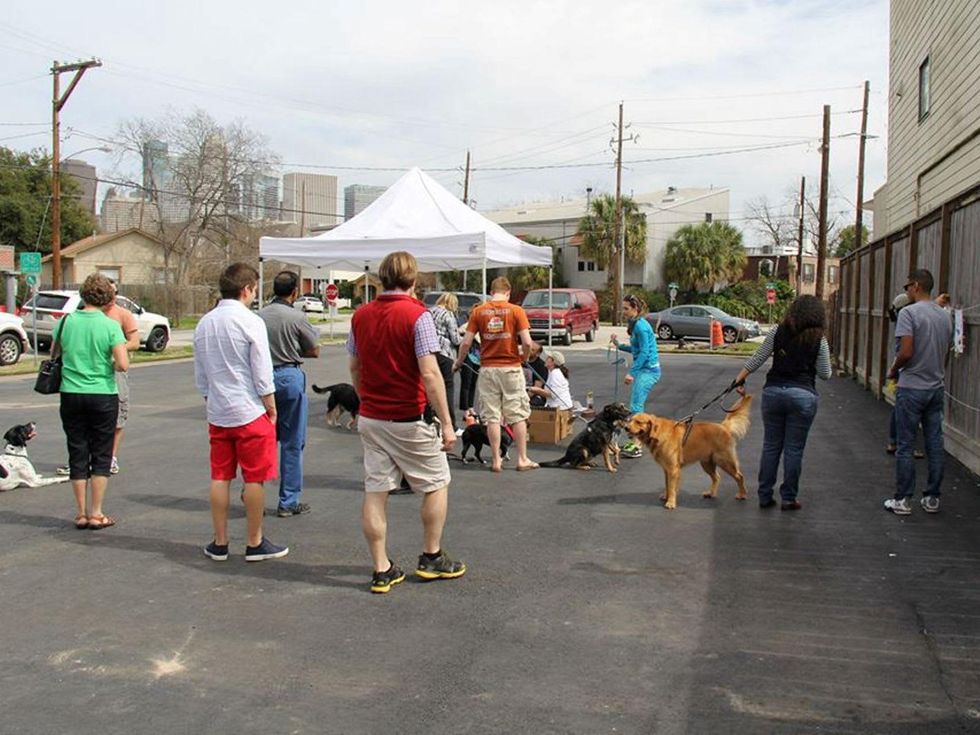 The scene at Paint with Your Pet February 2014