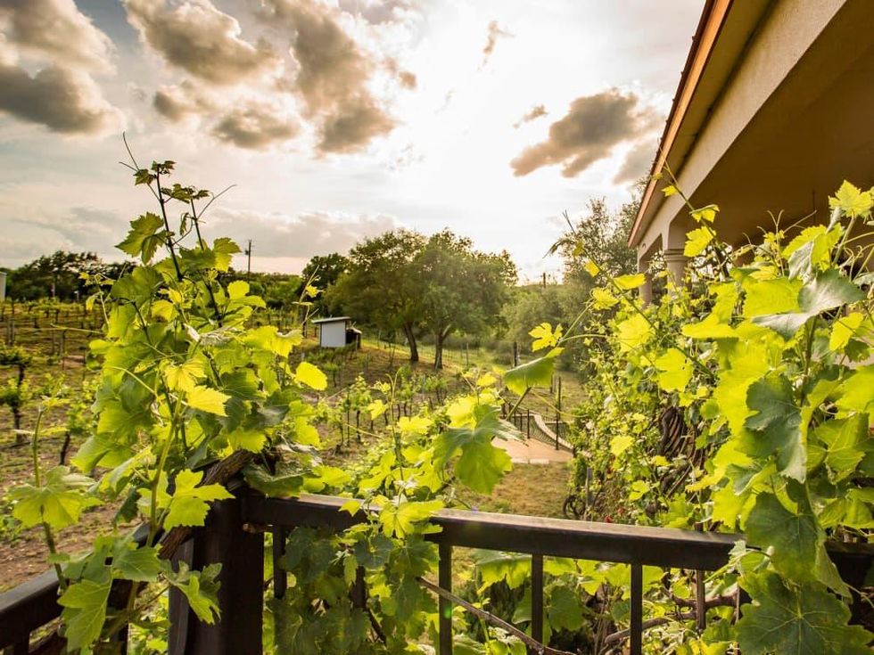 The Vineyard B&B at Lost Creek Ranch