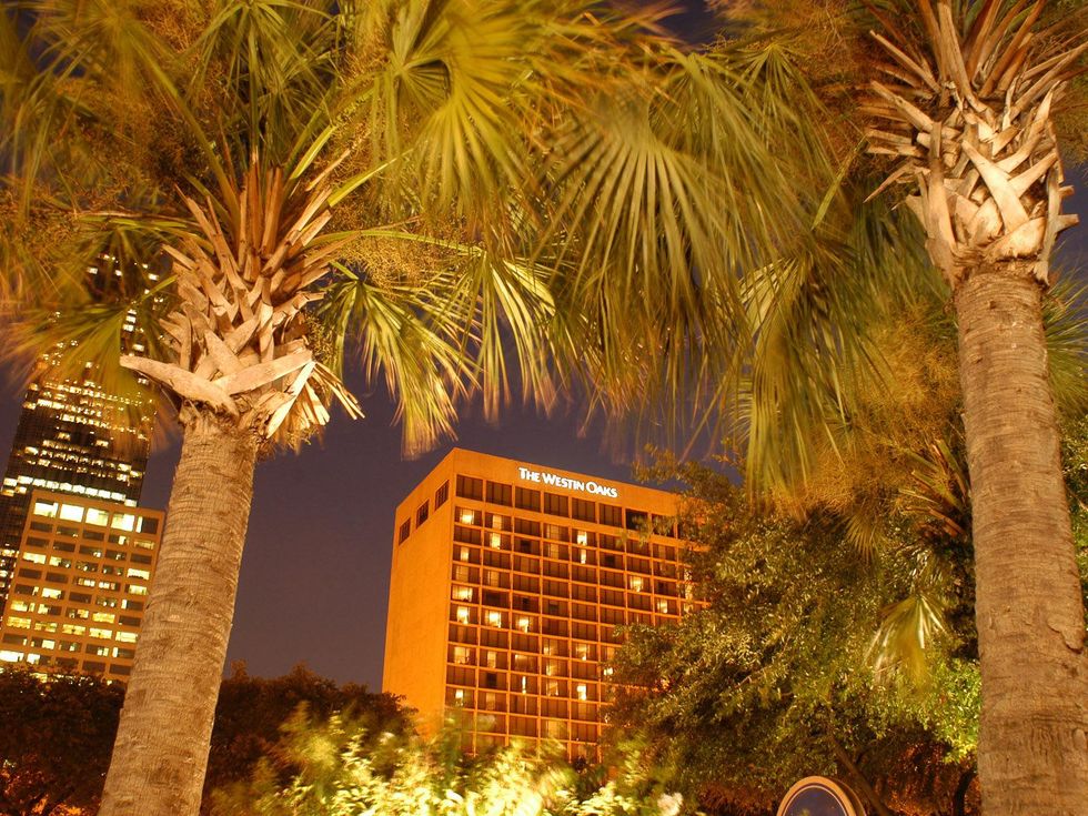 The Westin Oaks Houston hotel palm trees at night