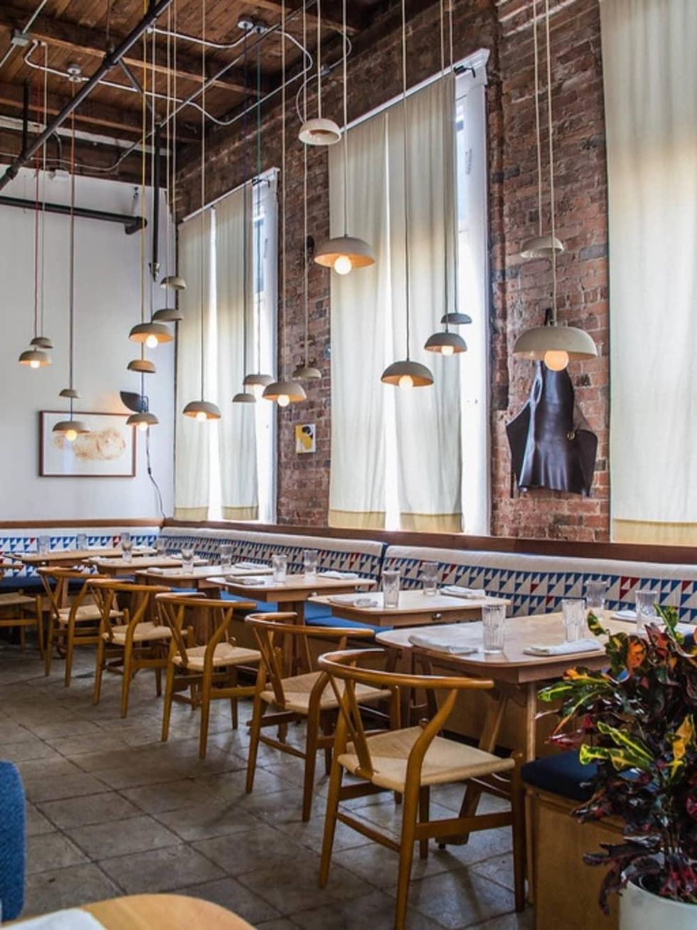 Theodore Rex interior