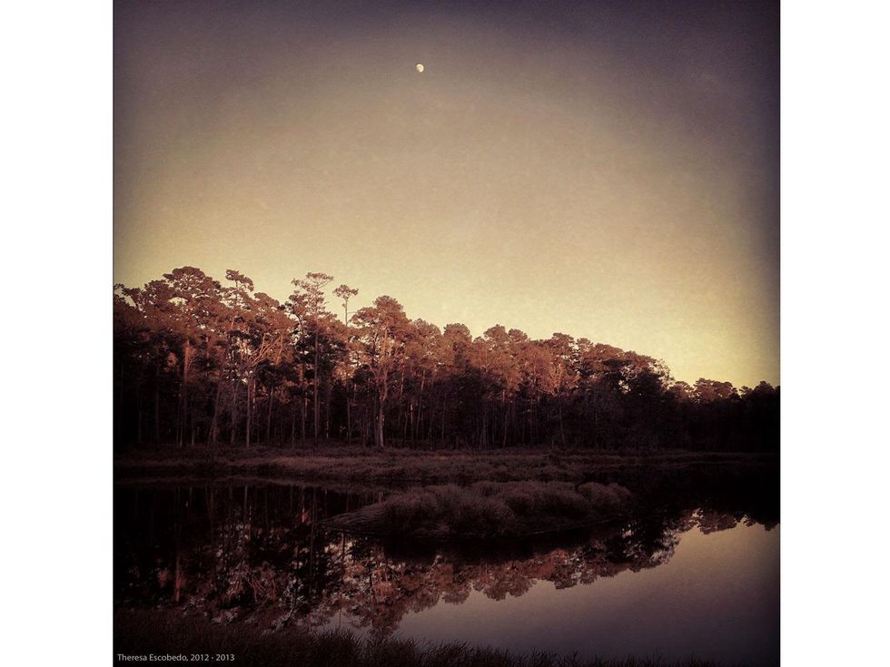 Theresa Escobedo, iPhone class, Houston Center for Photography, January 2013, Cooks Branch-4