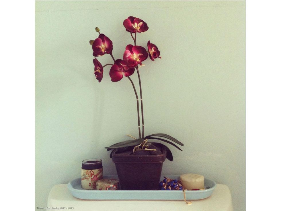 Theresa Escobedo, iPhone class, Houston Center for Photography, January 2013, Untitled (At Home)-1