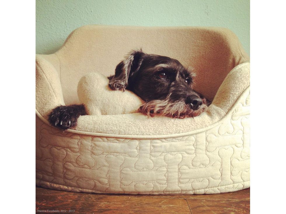 Theresa Escobedo, iPhone class, Houston Center for Photography, January 2013, Untitled (At Home)-3