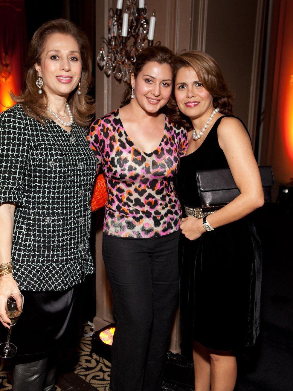 Tiger Ball kickoff party, January 2013, Roya Taghdisi, Sheida Etminan, Fariba Taghi