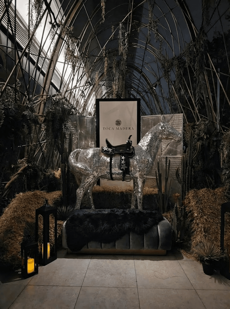 Toca Madera rodeo disco horse