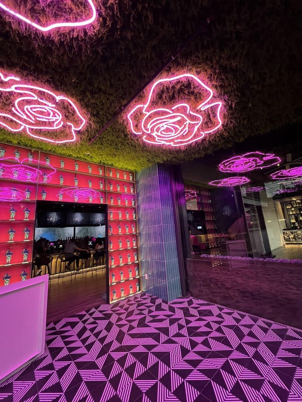 2 new bar and restaurants lift spirits on Washington Avenue with