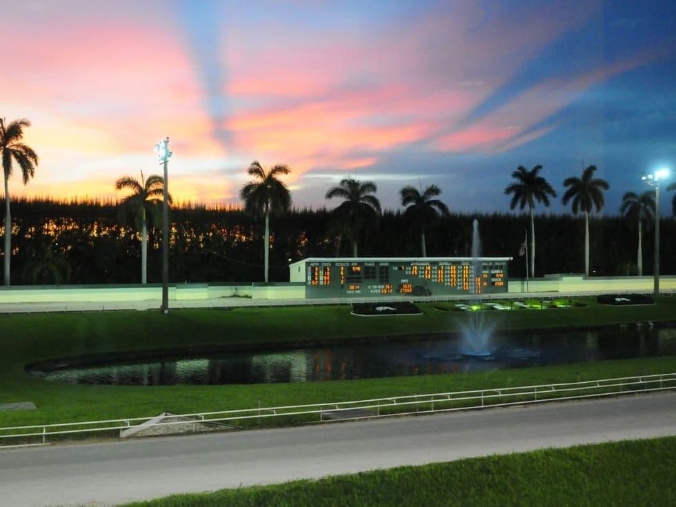 Travel Palm Beach - Palm Beach Kennel Club